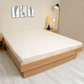 Water Proof Mattress Protector (White)