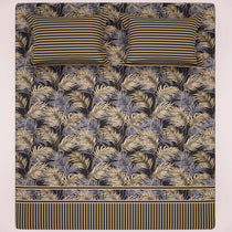 Xara bedsheet 7958-7959