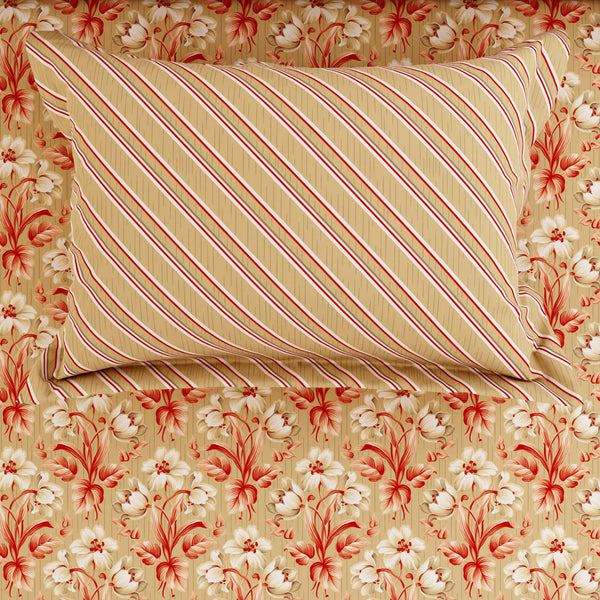 Xara Beige Cream Floral Stripes Bed Sheet Set