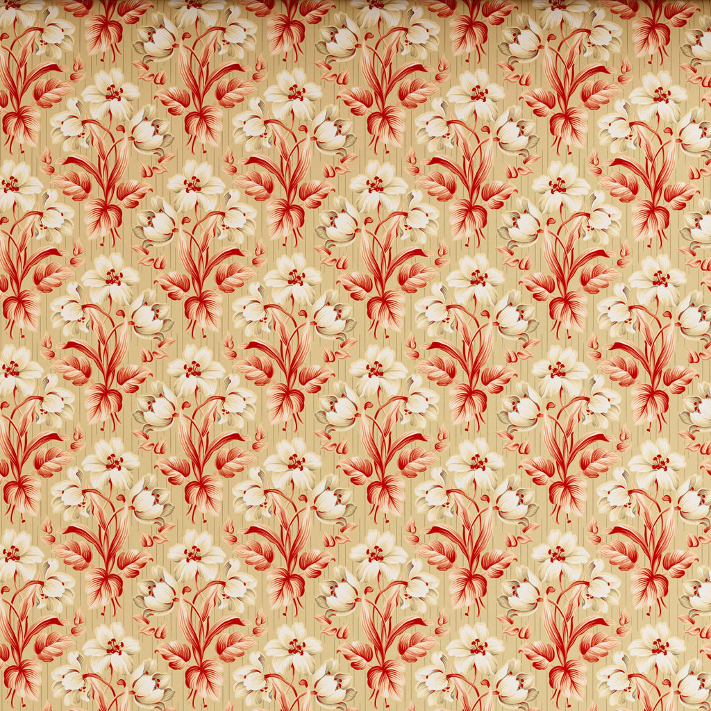 Xara Beige Cream Floral Stripes Bed Sheet Set
