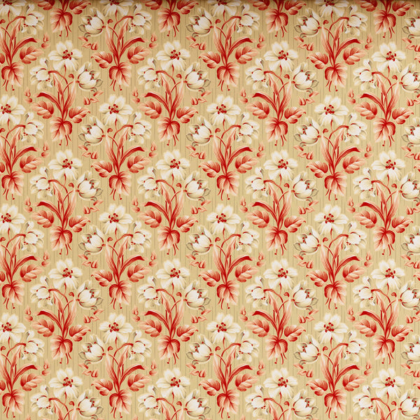 Xara Beige Cream Floral Stripes Bed Sheet Set