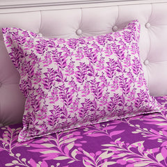 Xara Bed Sheet Set - 8971-72