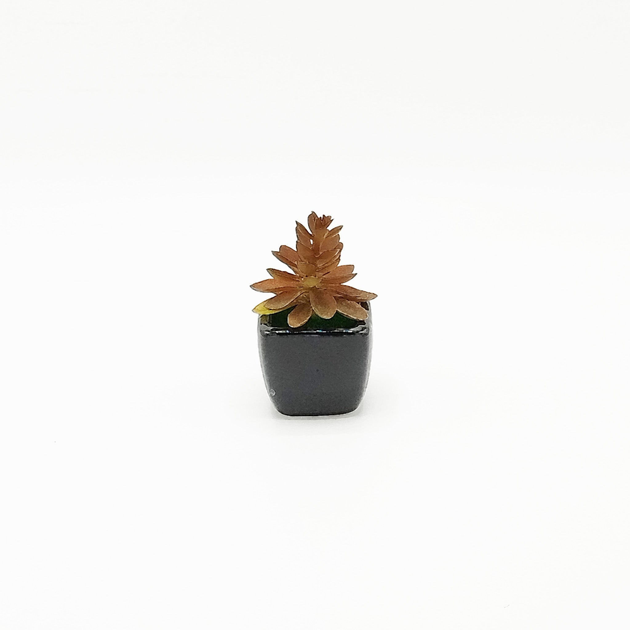 Realistic Artificial Succulent Plant - RHS-HD-TD-035