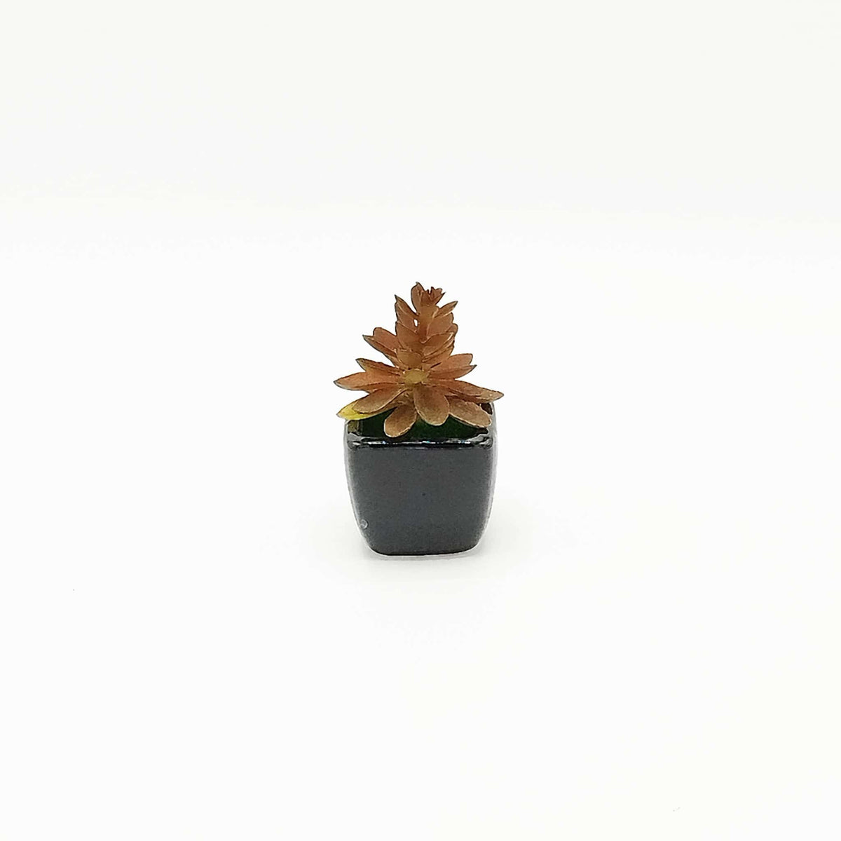 Realistic Artificial Succulent Plant - RHS-HD-TD-035