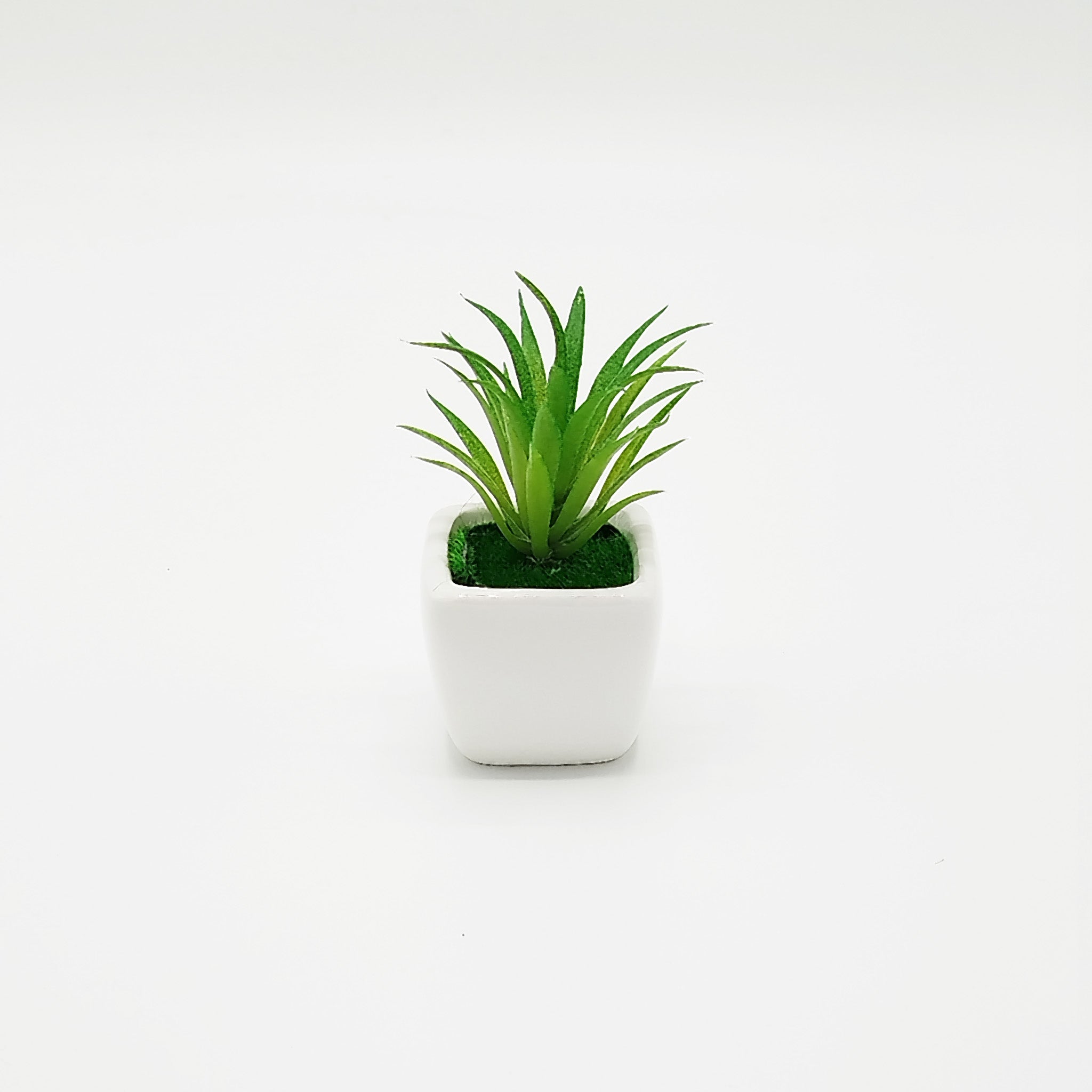 Realistic Artificial Succulent Plant - RHS-HD-TD-036