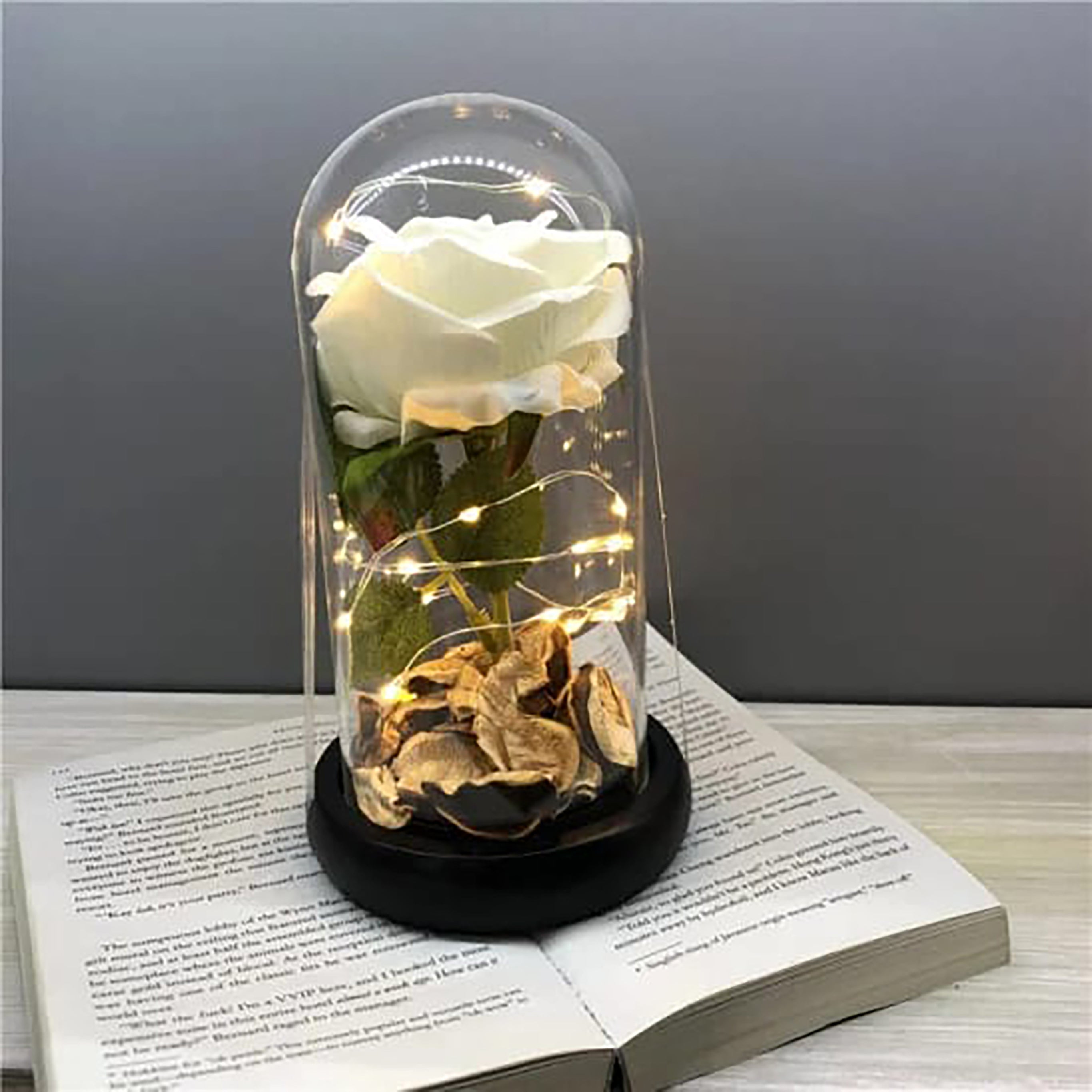 Preserved White Rose in Glass Dome - RHS-HD-TD-041