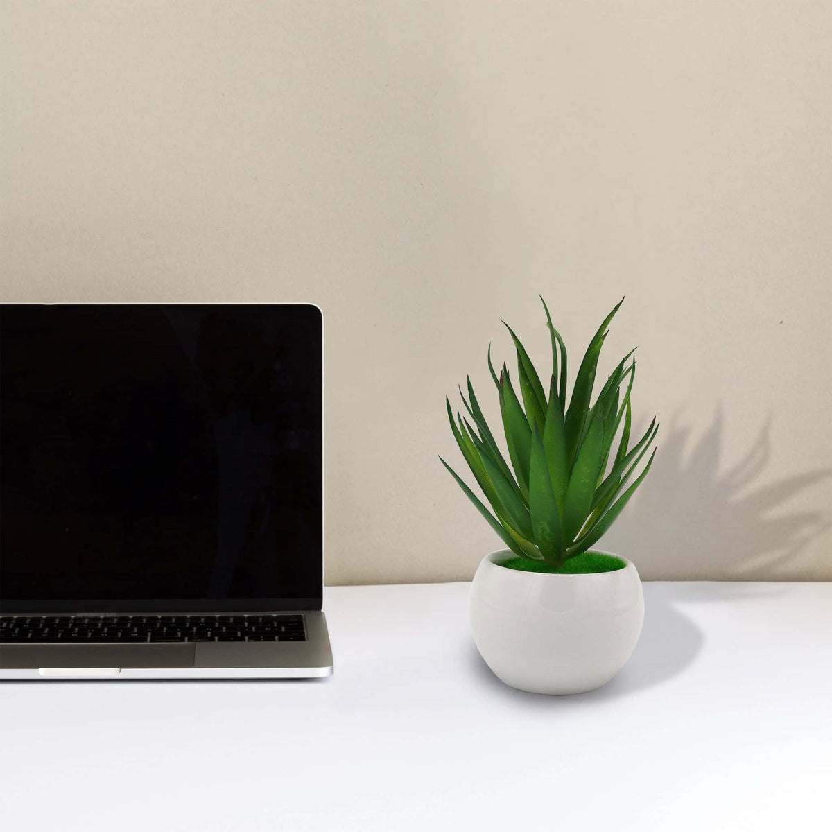 Realistic Artificial Succulent Plant - RHS-HD-TD-061 Main image