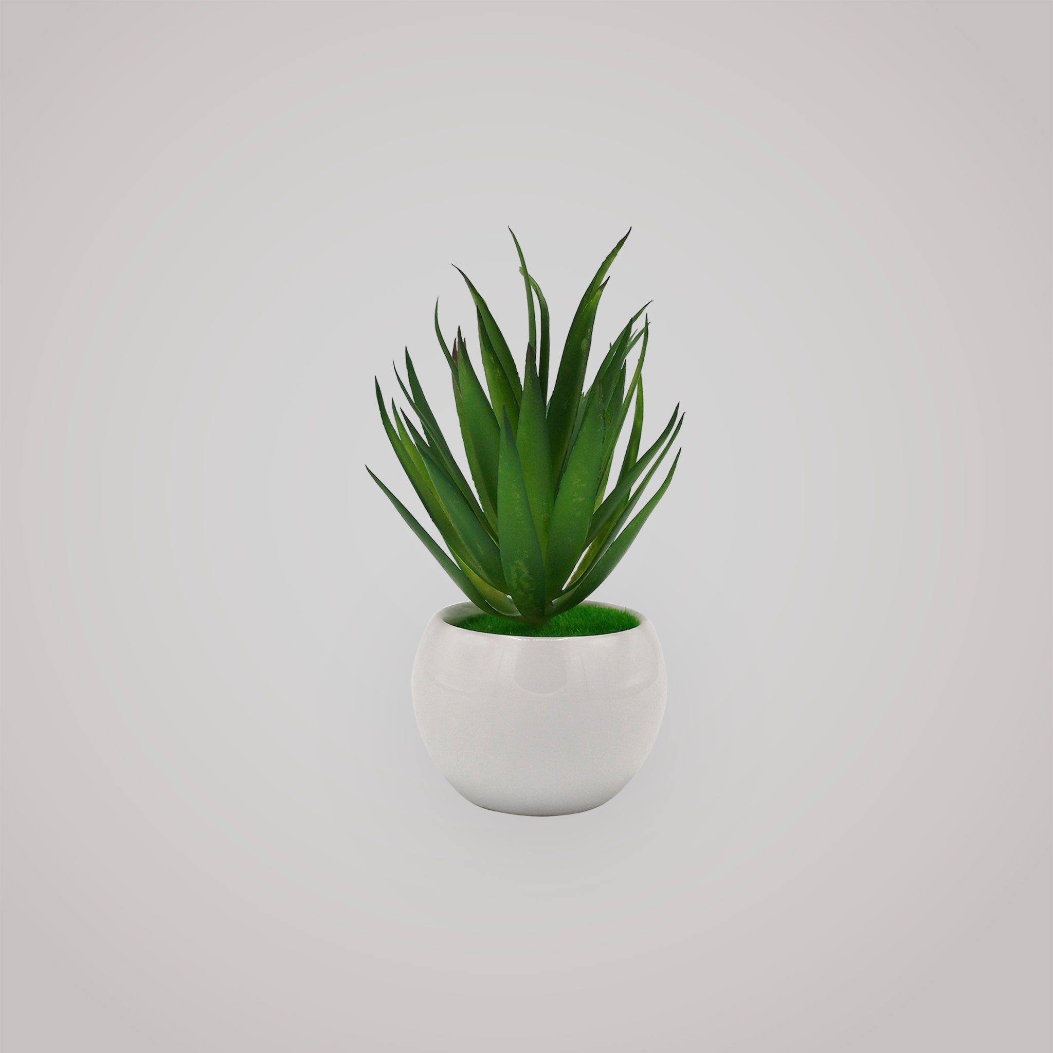 Realistic Artificial Succulent Plant - RHS-HD-TD-061