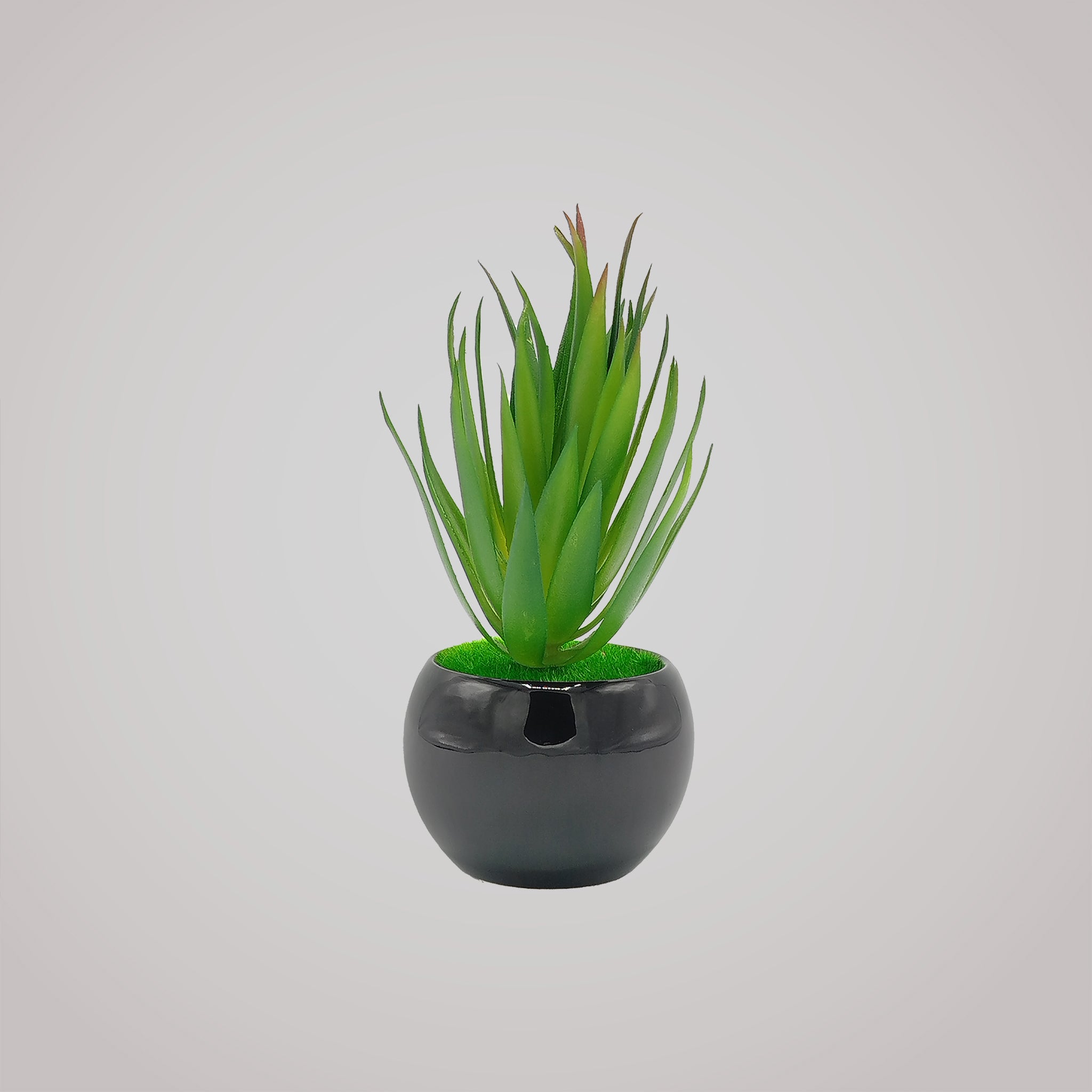 Realistic Artificial Succulent Plant - RHS-HD-TD-062