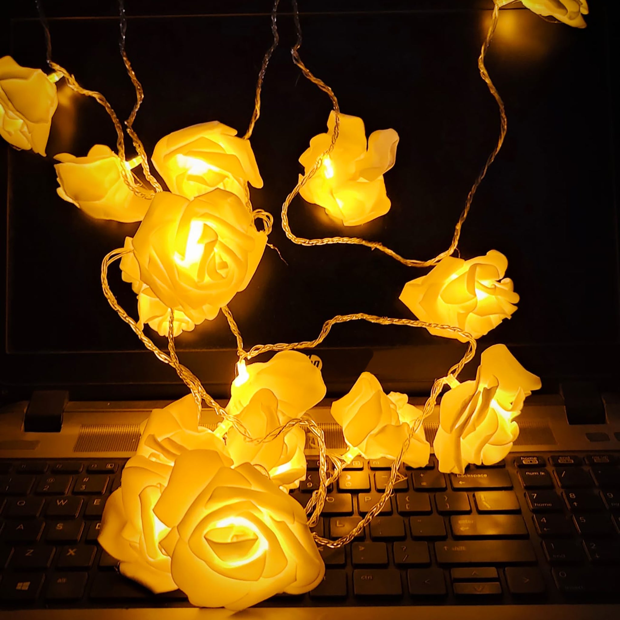 Warm White LED Rose Flower String Lights Wall - RHS-HD-WD-005